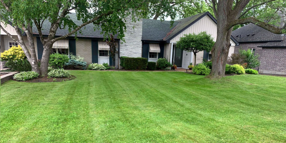 Residential Landscaping and lawn maintenance.
