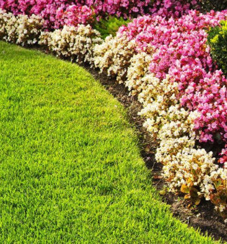 Garden Maintenance Ajax