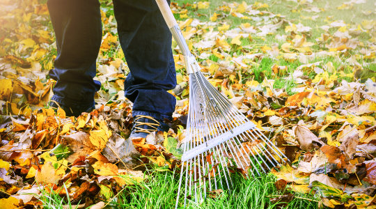 Grounds Maintenance and Seasonal Care