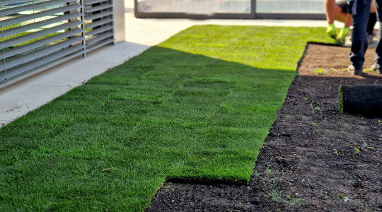 Residential Sod Installation