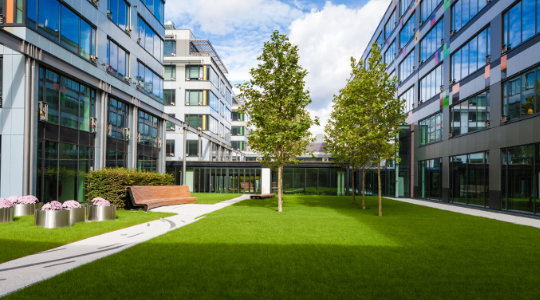 Commercial Sod Installation