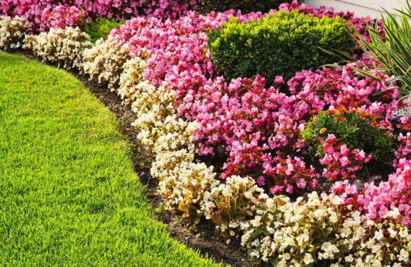 Garden Maintenance in Oshawa 