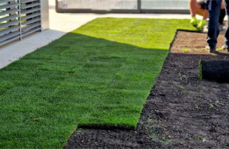 Sod Installation in Oshawa