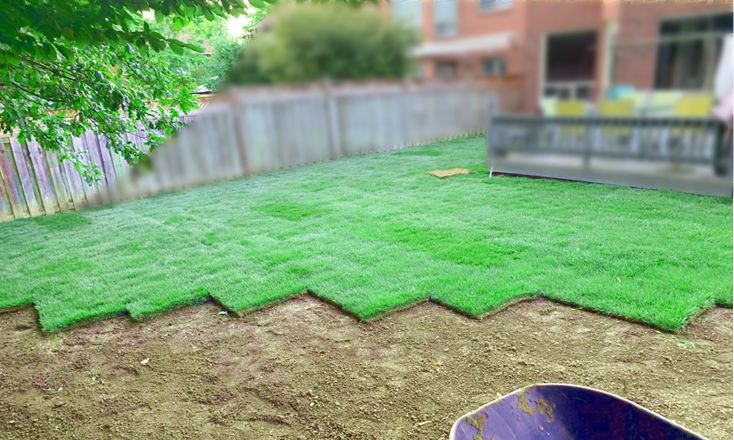 Landscaping services